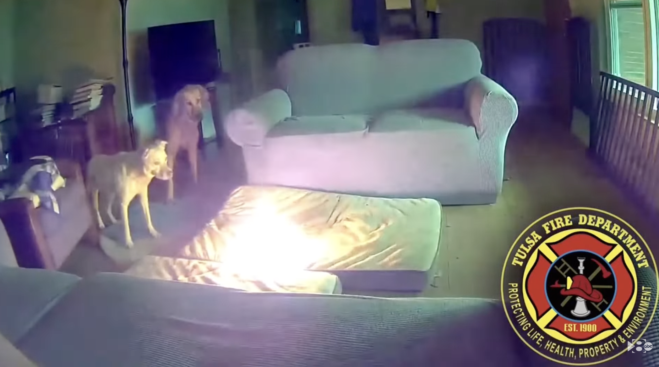 Dog starts fire after chewing on battery